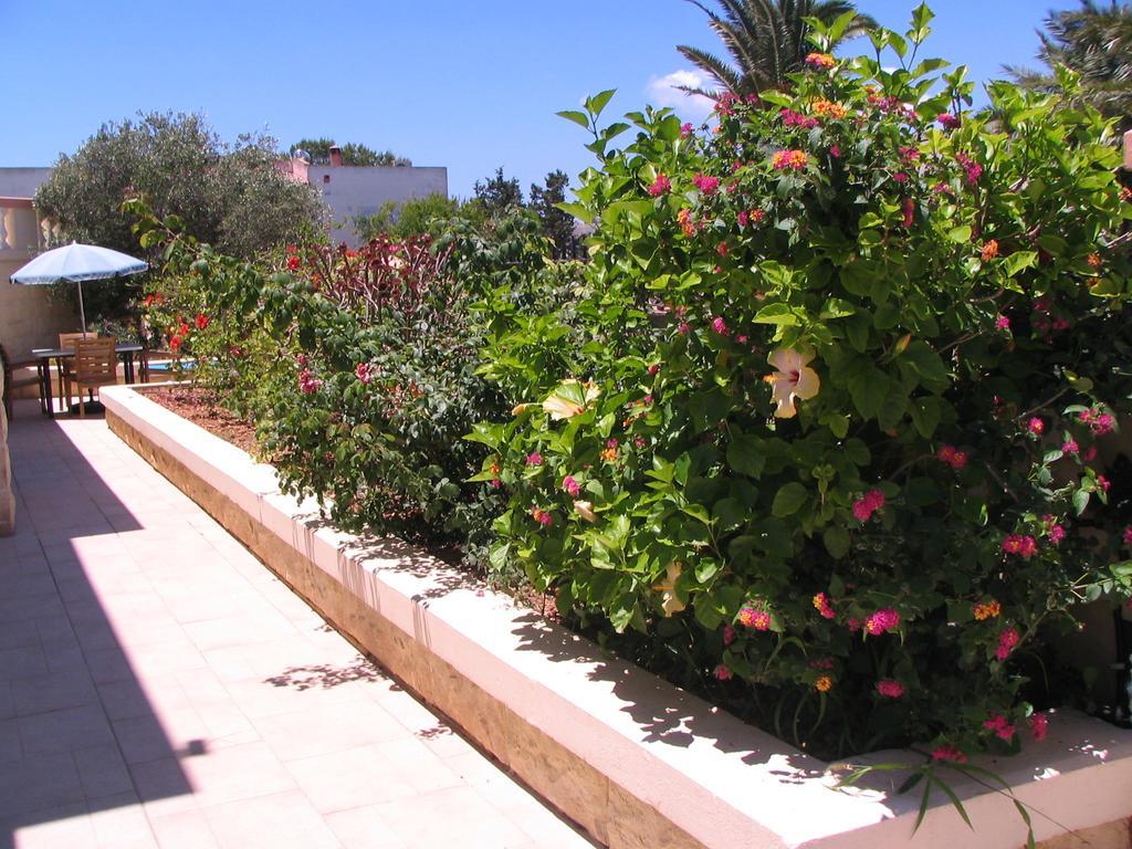 Tranquil Villa Apartments Units Mellieħa Dış mekan fotoğraf